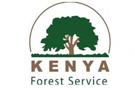 kfs